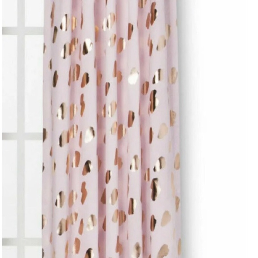 2 Blackout Curtain Panels